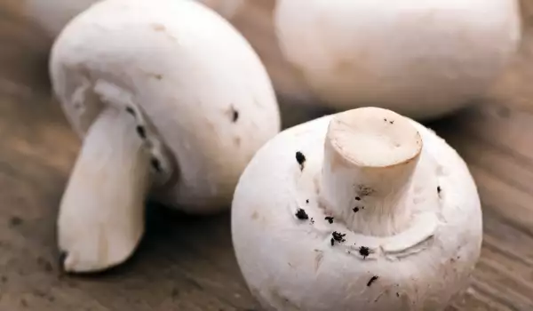 Should Mushrooms be Peeled?