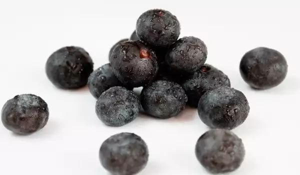 What Does Acai Berry Contain?