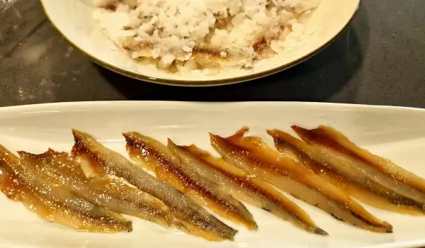 Homemade Salted Anchovies