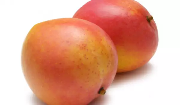 Apricots