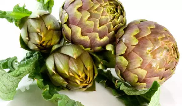 Artichoke