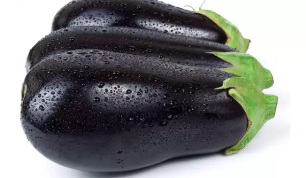 Fresh eggplant