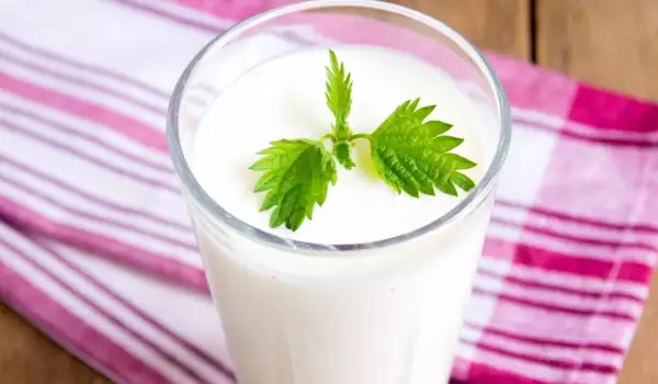 Ayran