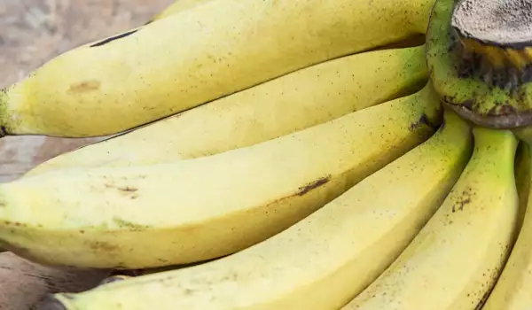 Bananas contain magnesium