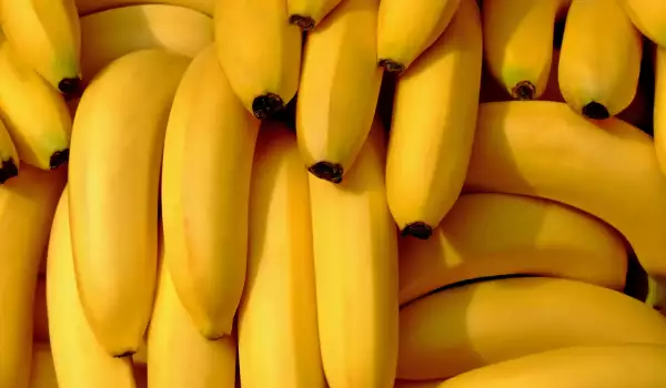 Bananas contain tryptophan