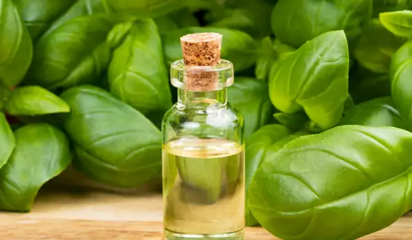 What is Basil Good for?