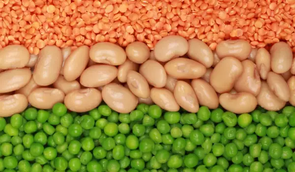 bio lentils, bio beans