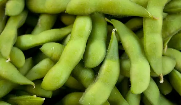 How to Blanch Green Beans?