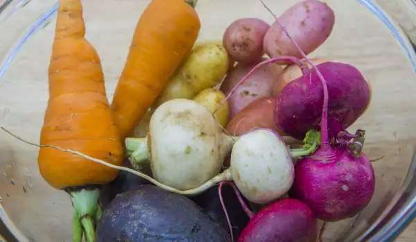 Which are the Root Vegetables?