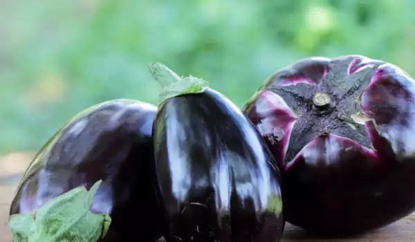 Do Eggplants Cause Any Harm?