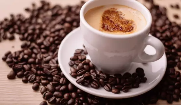 What is the Difference Between Arabica Coffee and Robusta Coffee