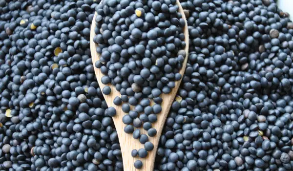How to Cook Black Lentils?