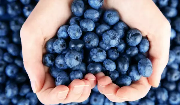 handful of blueberries