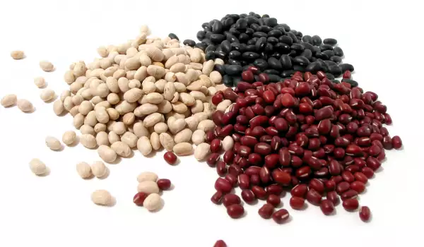 beans in many colors