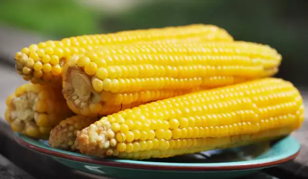 What Does Corn Contain?