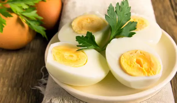 Healthy Nutrition of Children from 7 to 12 Years of Age