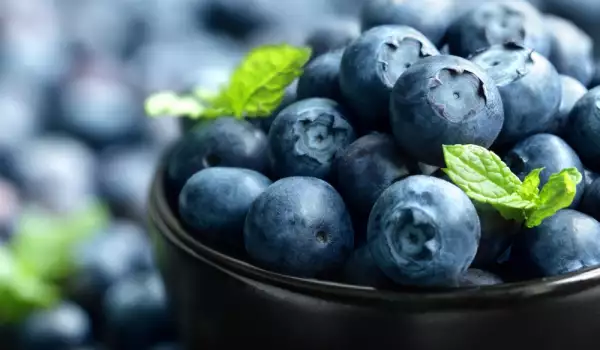 Can Blueberries Be Dried?
