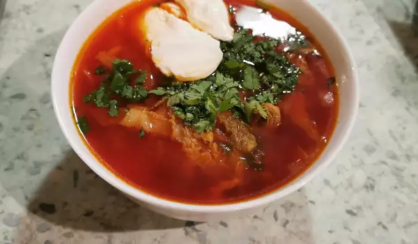 Delicious Borscht with Meat