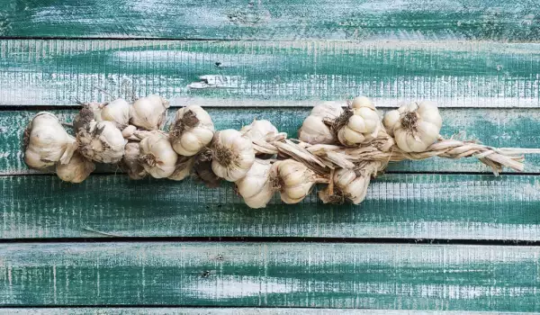 How to Dry Garlic