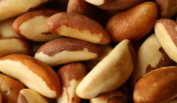 Brazil Nut