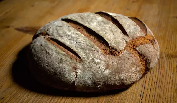 Homemade bread dough