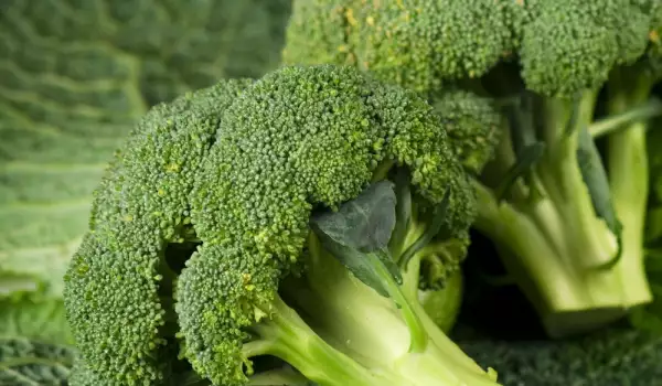 Why is it Necessary to Eat Broccoli?