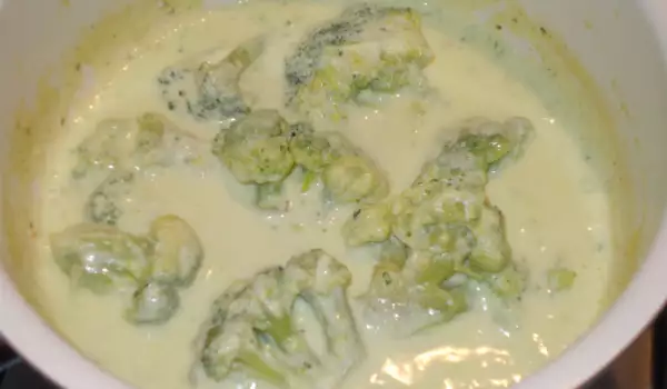 Broccoli with Bechamel Sauce