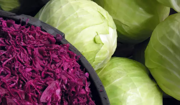 red and green cabbage