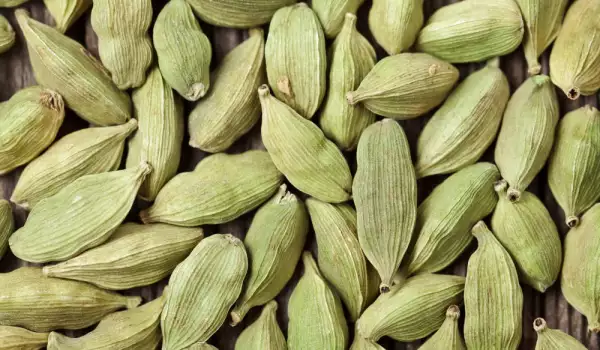 Cardamom