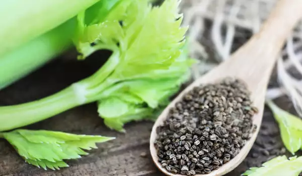 Celery seeds for gout