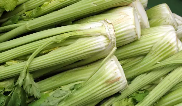 Celery