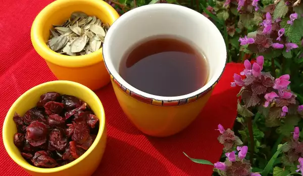 Cranberry Tea for Healthy Urinary Tract