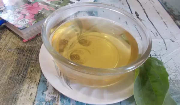 Plantain Tea for Weight Loss