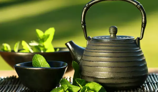 Green Tea in Pot