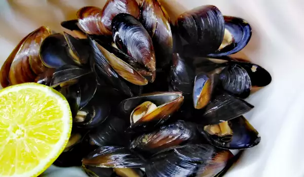 Mussels with Beer and Butter in a Pot