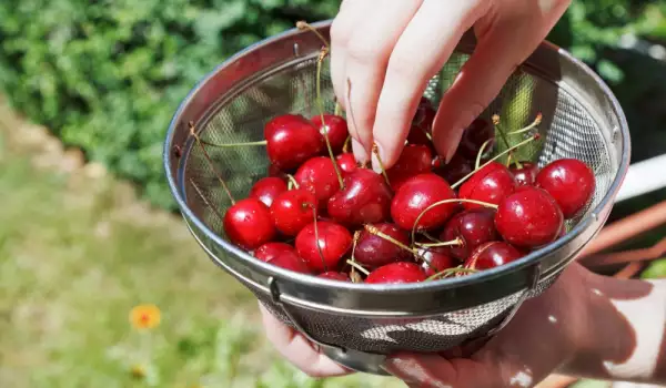 Cherries