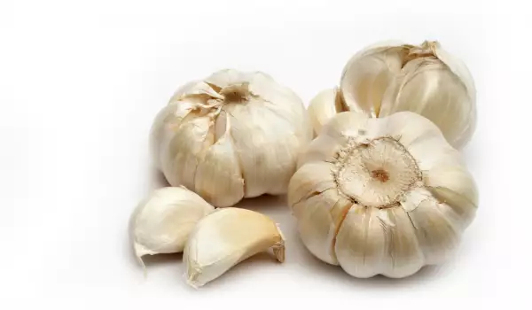 Garlic benefits