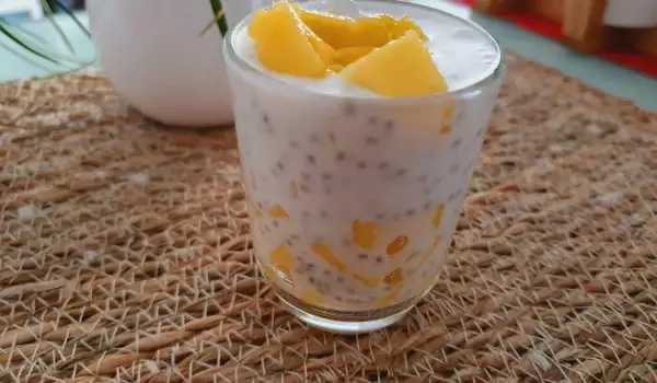 Chia Creams with Mango and Coconut Milk