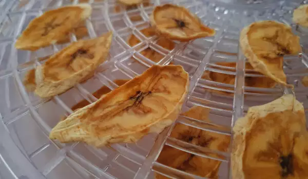 How to Dry Fruit in a Dehydrator?