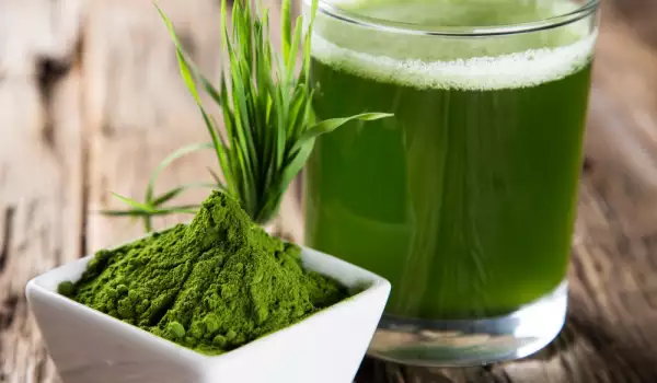 What is Spirulina Used for?