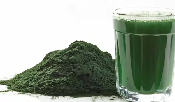 What are the Benefits of Spirulina?