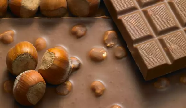 Chocolate bar and hazelnuts