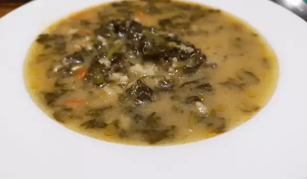 Fresh Spinach Soup