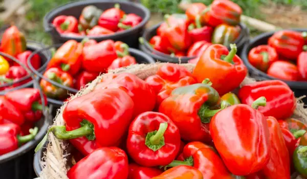 Red Peppers - Why They Are So Healthy