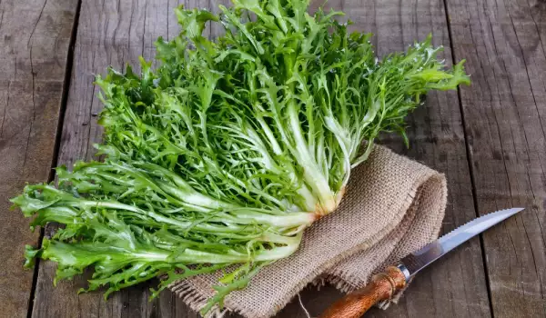 Escarole salad