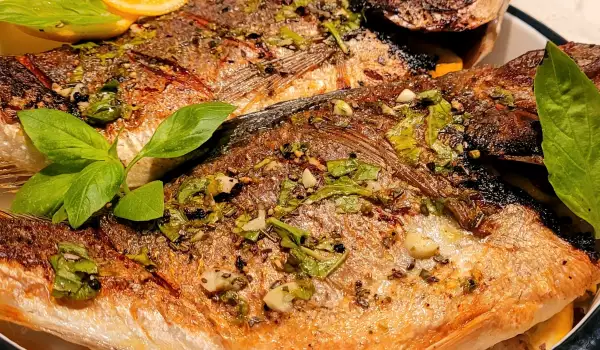 Greek-Style Sea Bream with Lemon Sauce