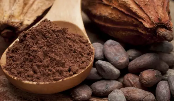 What are Cocoa Flavanols?