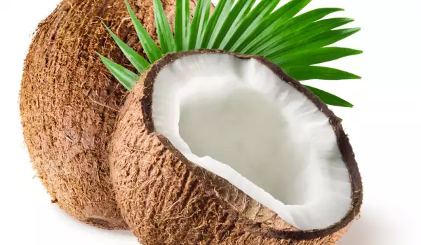 Coconut