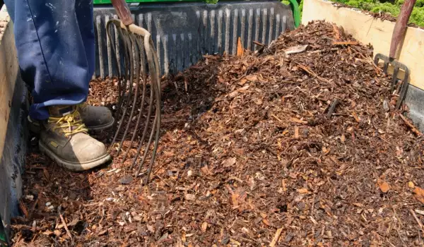 compost