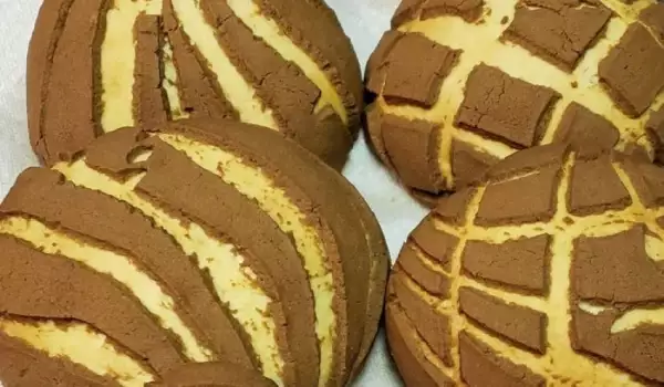 Concha - Mexican Bread Buns